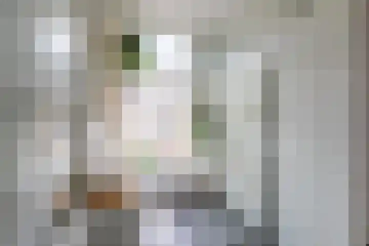 Annastraat 35 Delft thumbnail 19