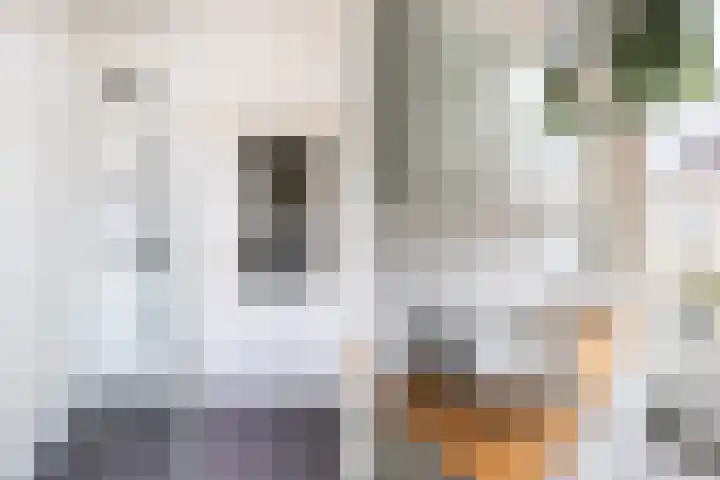 Annastraat 35 Delft thumbnail 21
