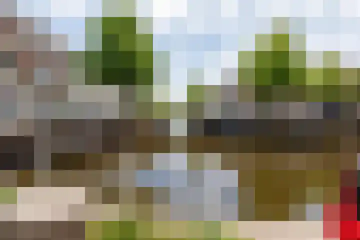 Annastraat 35 Delft thumbnail 29