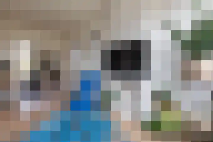 Annastraat 35 Delft thumbnail 9