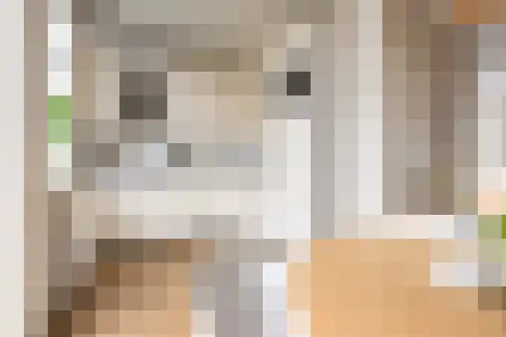 Annastraat 36 a Groningen thumbnail 14