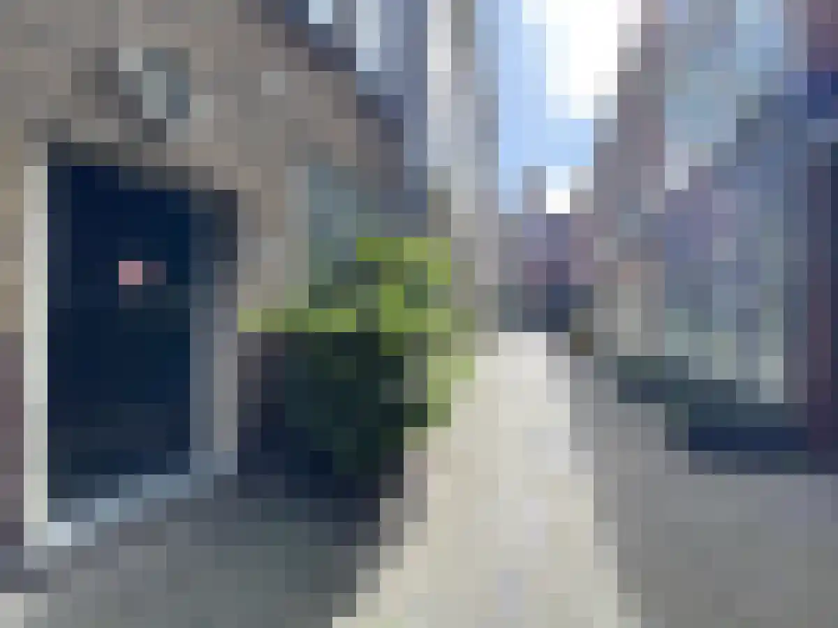 Annastraat 4 Den Haag thumbnail 4