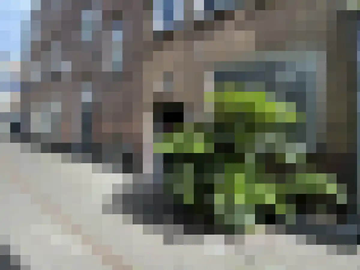 Annastraat 4 Den Haag thumbnail 5