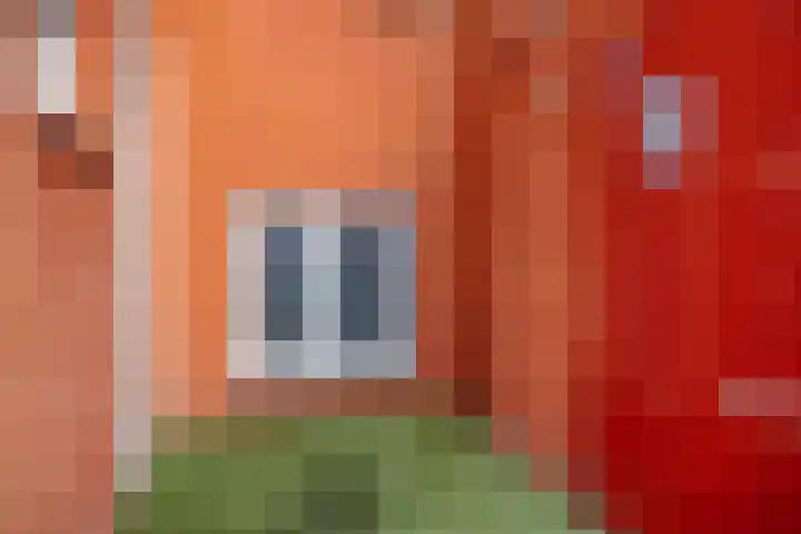 Annastraat 45 Geleen thumbnail 19