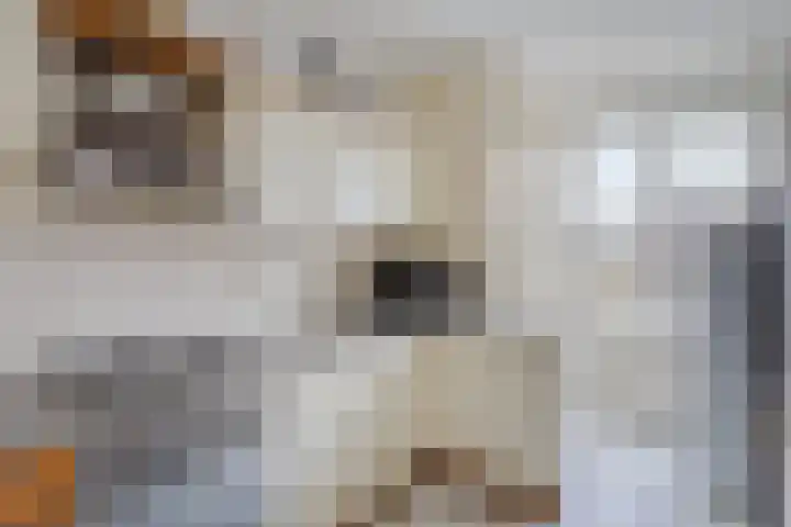 Annastraat 45 Geleen thumbnail 8