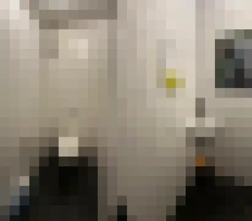 Annastraat 5 A Geleen thumbnail 5