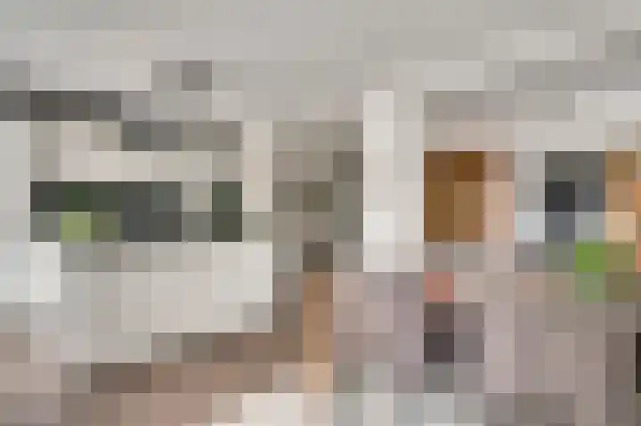 Annastraat 53 Ospel thumbnail 11