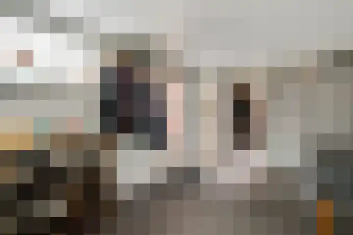 Annastraat 53 Ospel thumbnail 24