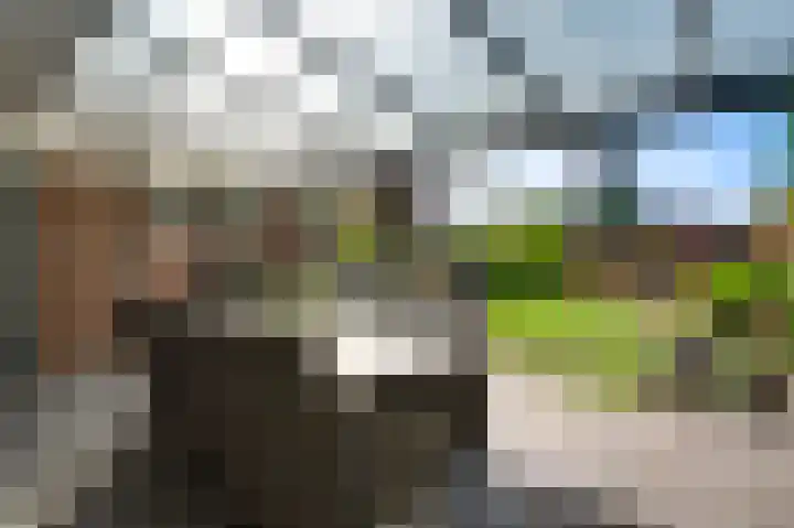 Annastraat 53 Ospel thumbnail 25