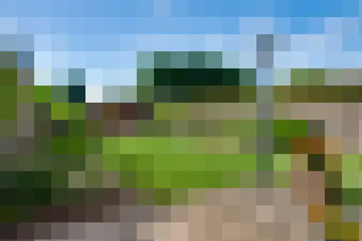 Annastraat 53 Ospel thumbnail 27