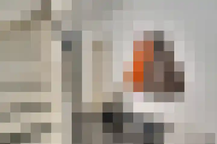 Annastraat 53 Ospel thumbnail 7
