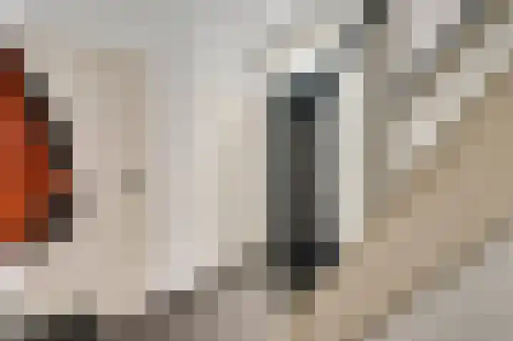 Annastraat 53 Ospel thumbnail 8