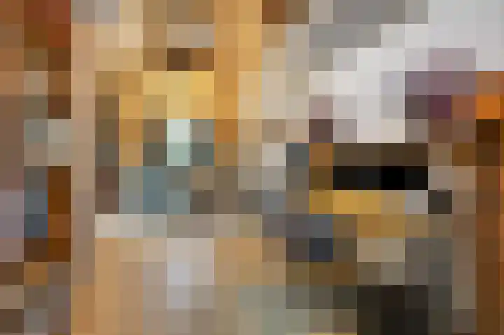 Annastraat 6 Velp thumbnail 23