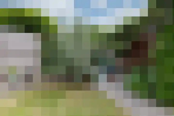 Annastraat 6 Velp thumbnail 25