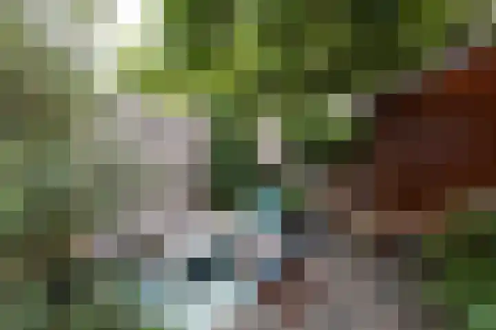 Annastraat 6 Velp thumbnail 4