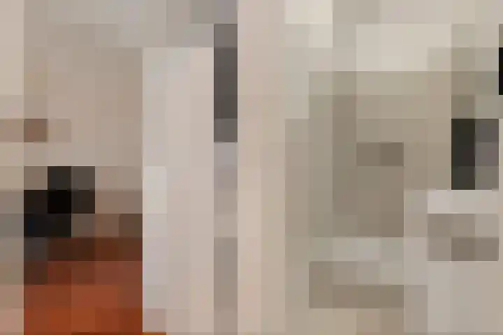 Annastraat 8 Groningen thumbnail 14