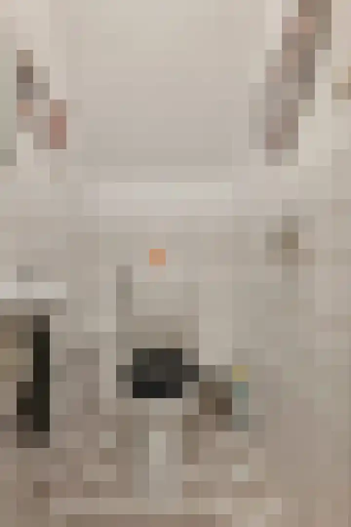 Annastraat 8 Groningen thumbnail 17