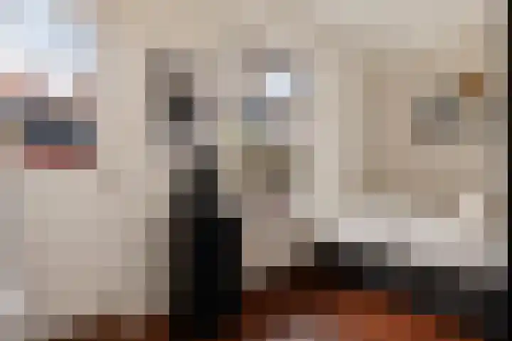 Annastraat 8 Groningen thumbnail 19
