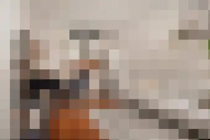 Annastraat 8 Groningen thumbnail 8
