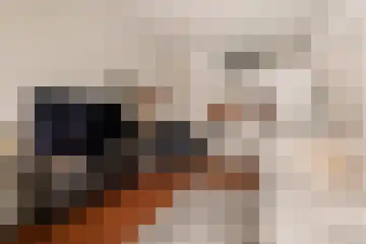 Annastraat 8 Groningen thumbnail 9