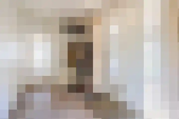 Annaweg 4 a Dinteloord thumbnail 11
