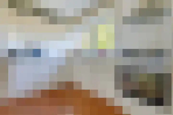 Annaweg 4 a Dinteloord thumbnail 22