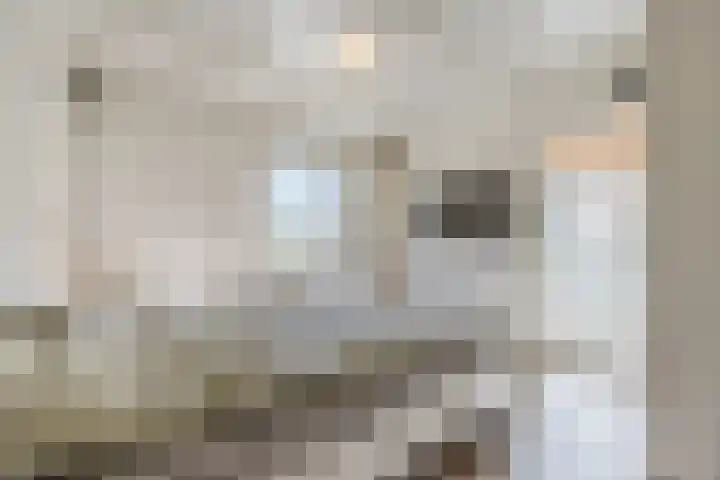 Annaweg 4 a Dinteloord thumbnail 24