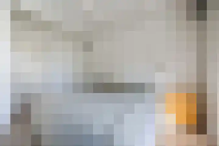 Annaweg 4 a Dinteloord thumbnail 25
