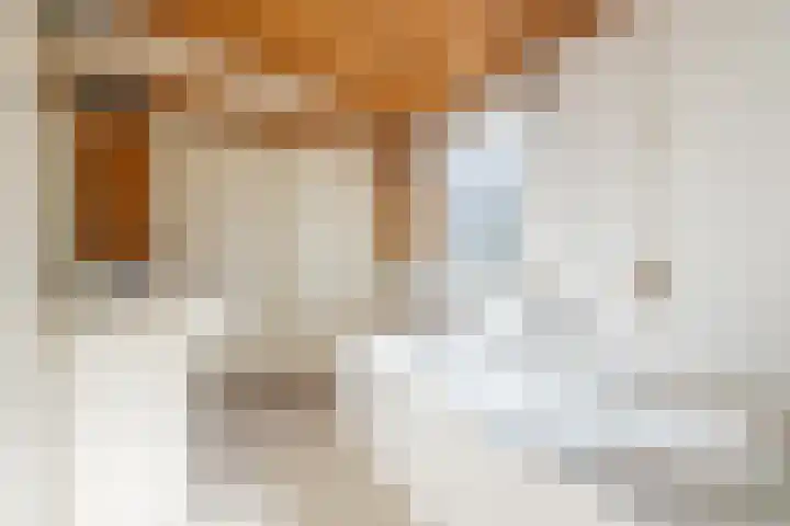Annaweg 4 a Dinteloord thumbnail 26