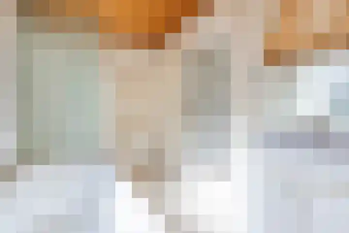 Annaweg 4 a Dinteloord thumbnail 27