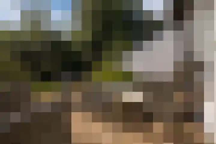 Annaweg 4 a Dinteloord thumbnail 31
