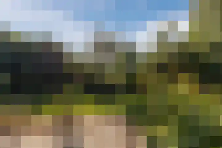 Annaweg 4 a Dinteloord thumbnail 32