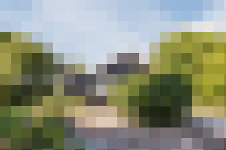 Annaweg 4 a Dinteloord thumbnail 34
