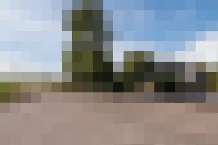 Annaweg 4 a Dinteloord thumbnail 37