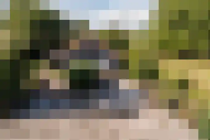 Annaweg 4 a Dinteloord thumbnail 39