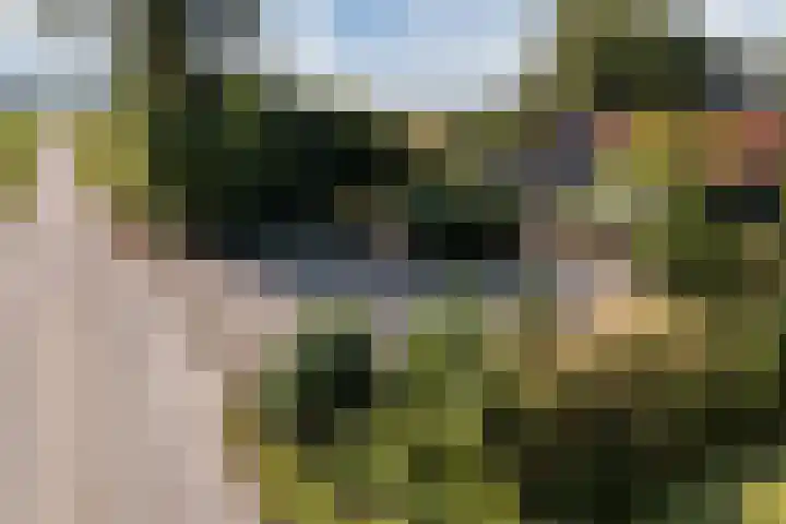 Annaweg 4 a Dinteloord thumbnail 40