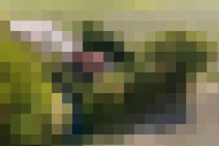 Annaweg 4 a Dinteloord thumbnail 43