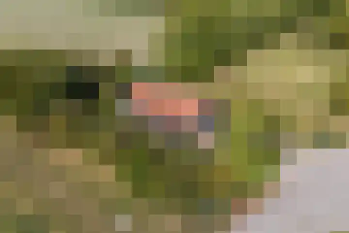 Annaweg 4 a Dinteloord thumbnail 45