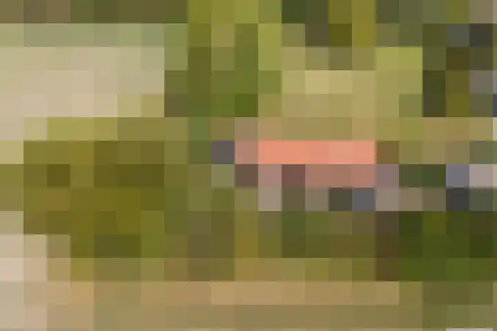 Annaweg 4 a Dinteloord thumbnail 46