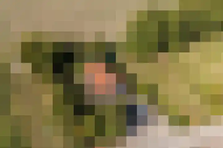 Annaweg 4 a Dinteloord thumbnail 47