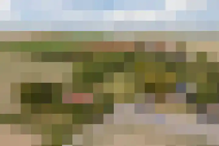 Annaweg 4 a Dinteloord thumbnail 5
