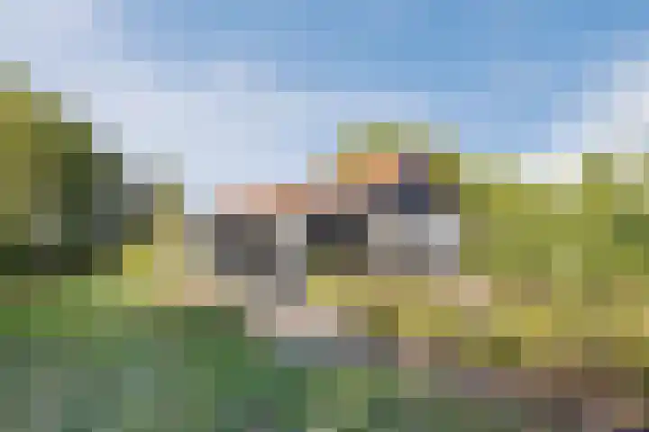 Annaweg 4 a Dinteloord thumbnail 7