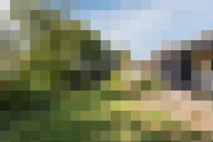 Annaweg 4 a Dinteloord thumbnail 8