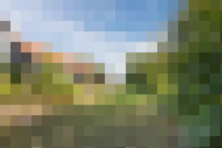 Annaweg 4 a Dinteloord thumbnail 9