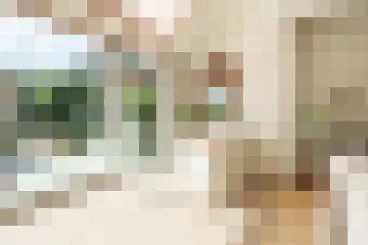 Anne de Vrieshove 24 Nieuwegein thumbnail 8