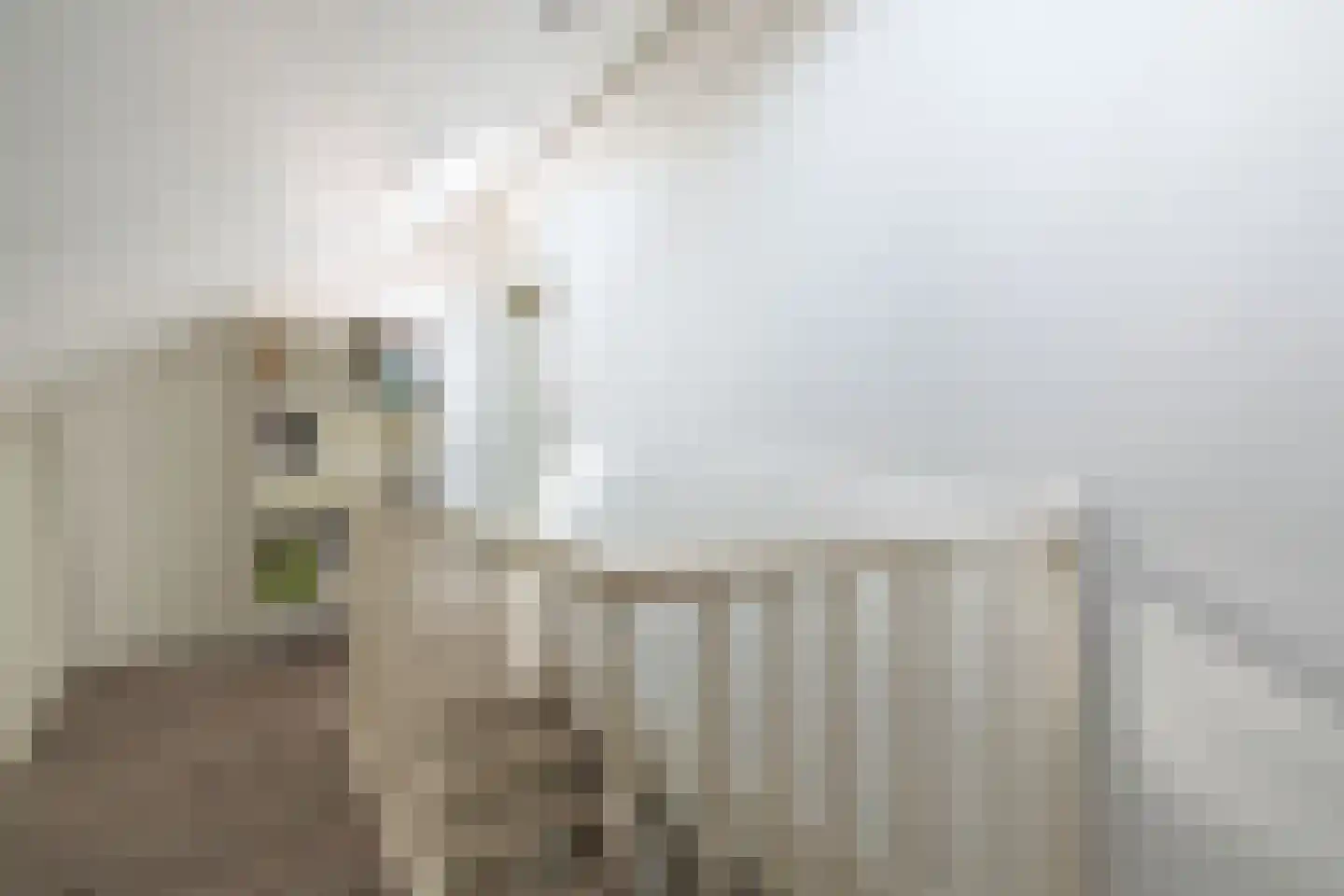 Anne de Vrieshove 41 Nieuwegein thumbnail 22