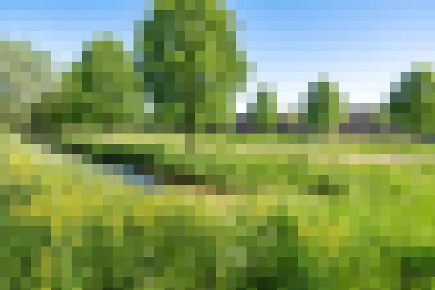 Anne de Vrieshove 41 Nieuwegein thumbnail 26