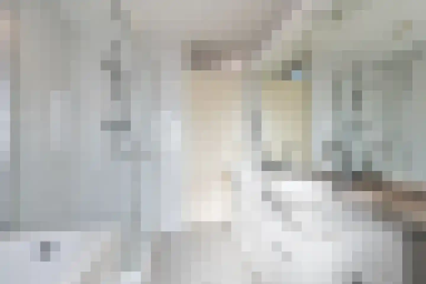 Anne de Vrieslaan 2 Amstelveen thumbnail 22