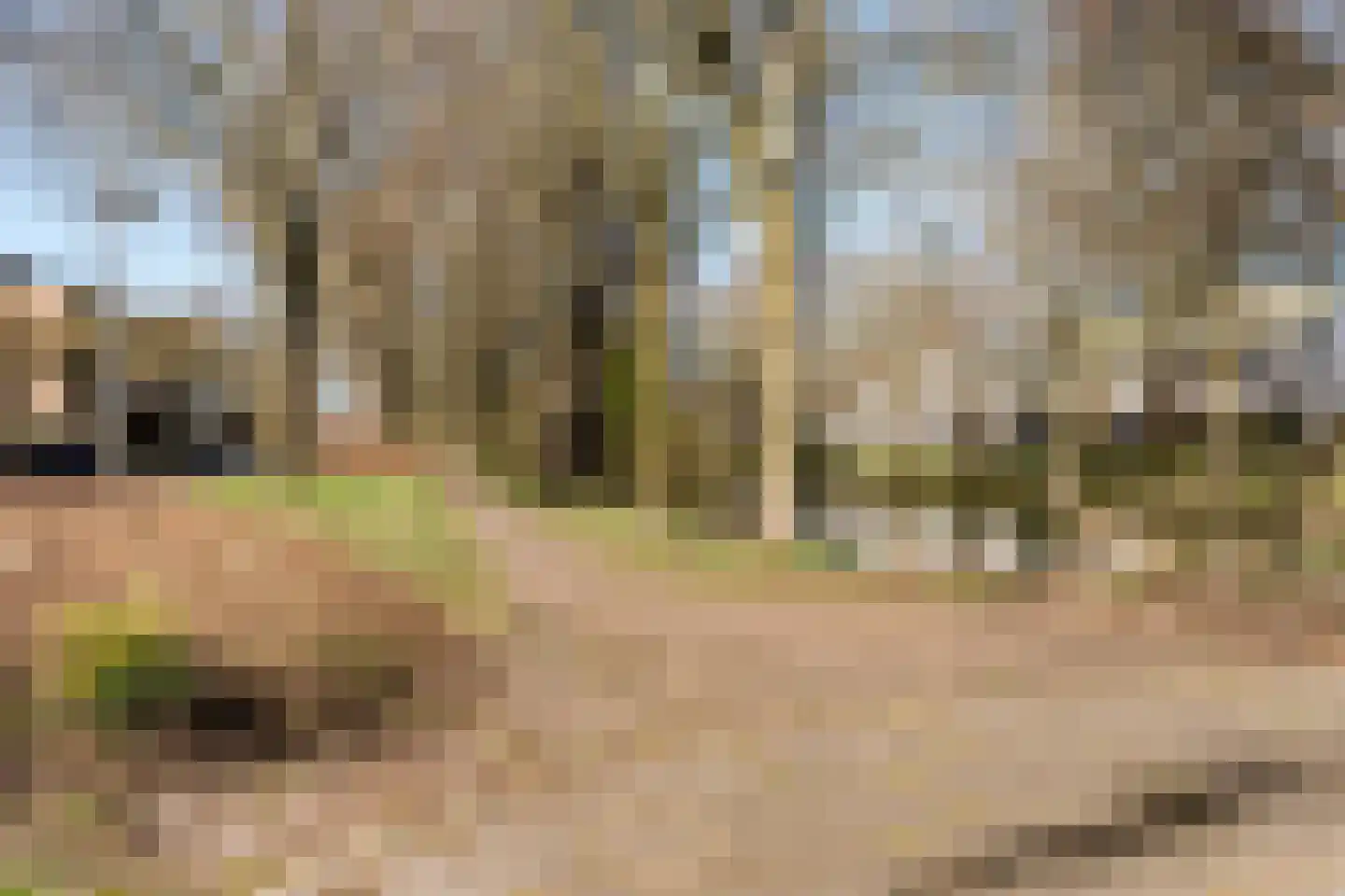 Anne de Vrieslaan 2 Amstelveen thumbnail 35