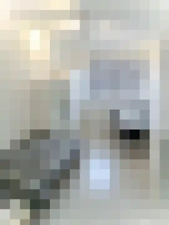 Anne de Vrieslaan 22 Amstelveen thumbnail 5